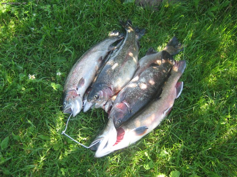 --����. - ������� (����������)