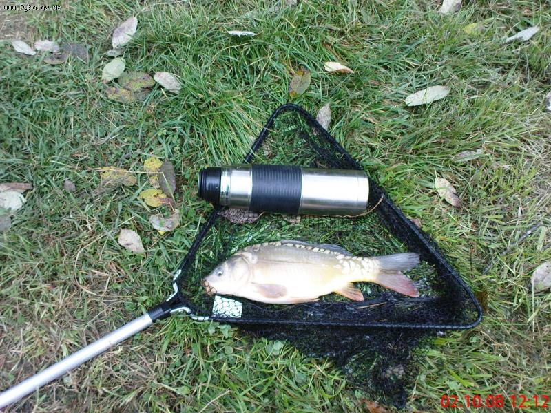 --������ ����. - ������� (����������)