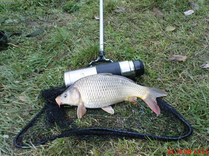 --������ ��� " ���� " - ������� (����������)