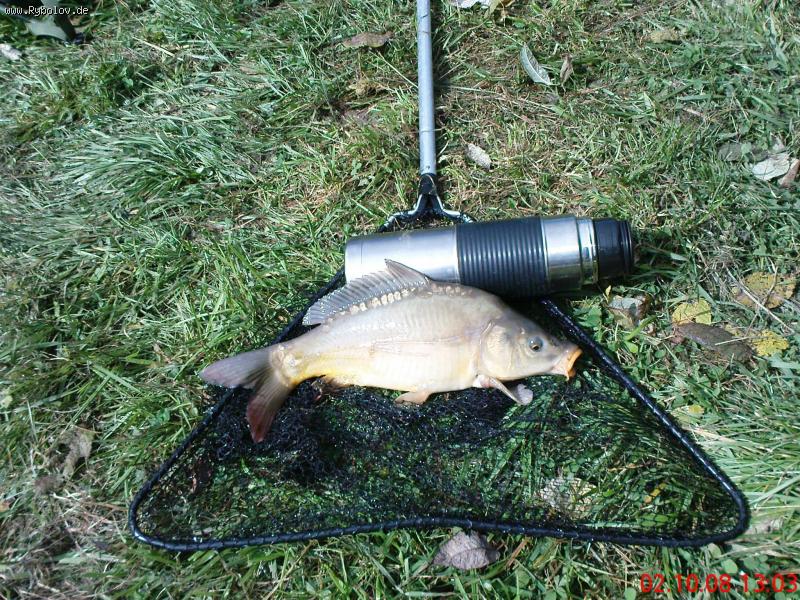 --�������� ��� ���������� - ������� (����������)