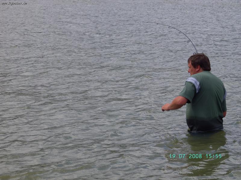 --����������� ������� - ������� (����������)