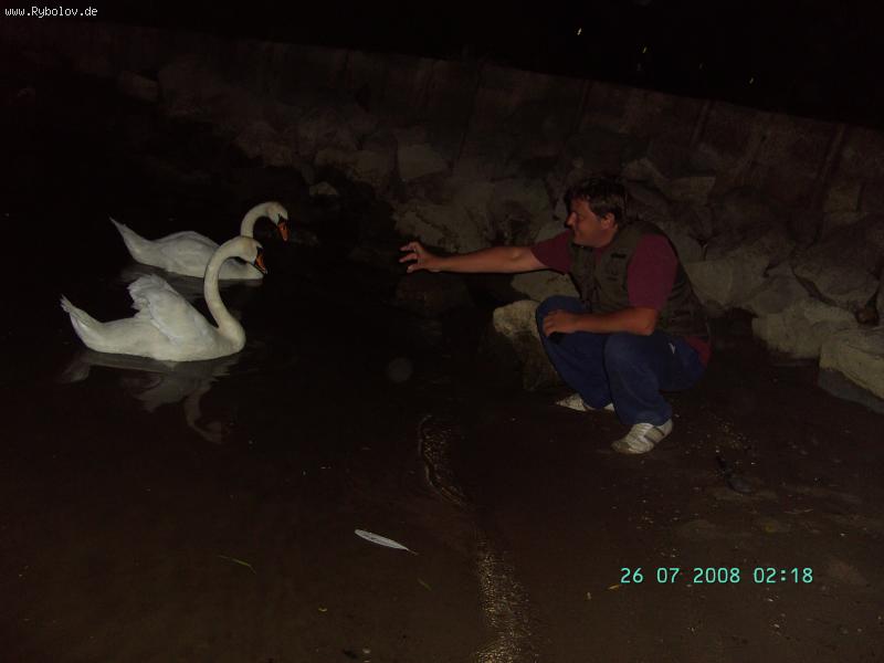 --���� , ���-�� �� ������ - ������� (����������)