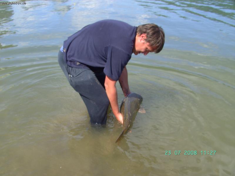 --����� - ������� (����������)