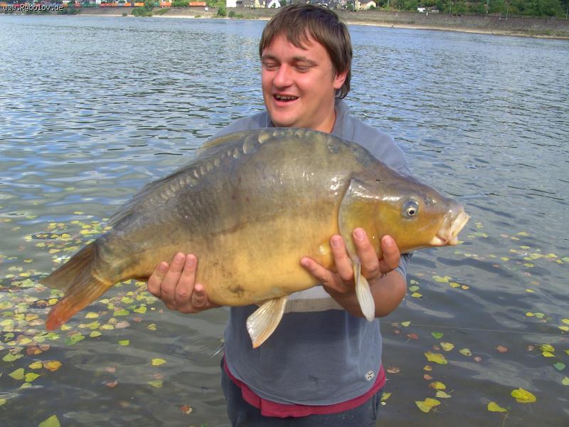 --���� ��� ��������� - ������� (����������)