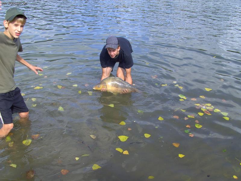 --������� � ������������ ��������� ���� ������ - ������� (����������)