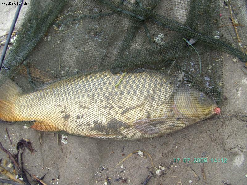 --������ - ������� (����������)