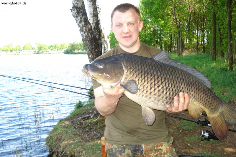 --������ - ������� (����������)