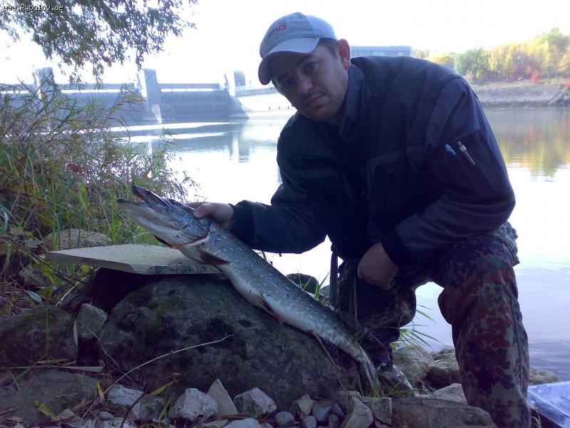 --Donau Hecht - ������� (����������)