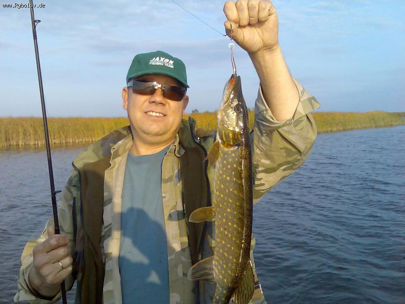 --����������� ����� - ������� (����������)