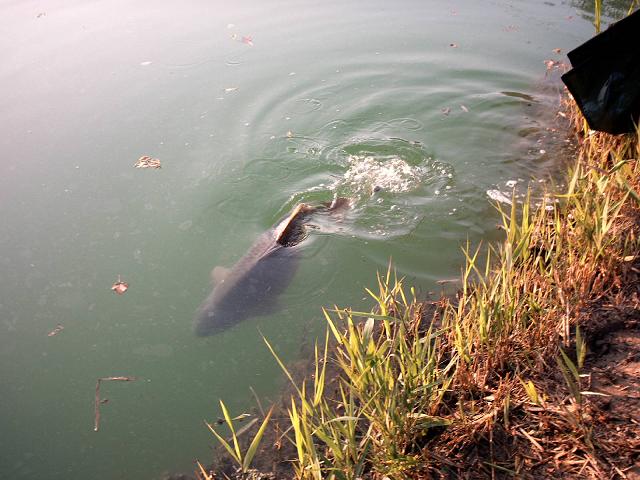 --Uhod... - ������� (����������)