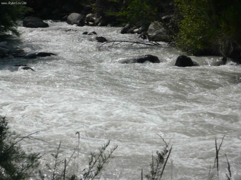 --��������. ������ �����. ���� �����. - ������� (����������)