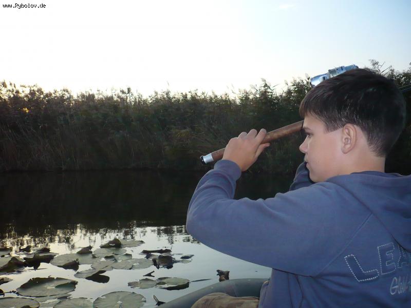 --�������� ����� - ������� (����������)