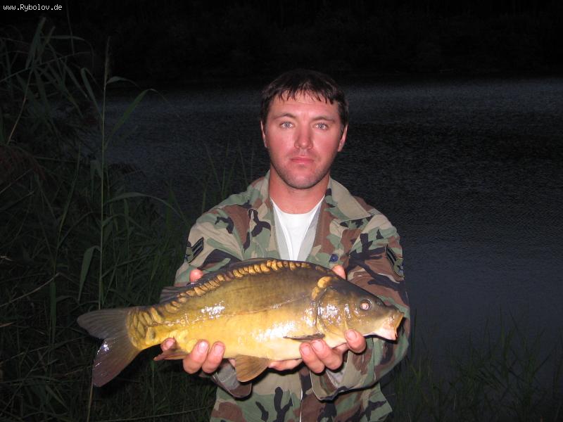 --���� ������ . - ������� (����������)