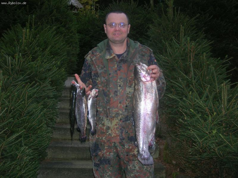 --���� ���� �� ���� �� �������� - ������� (����������)