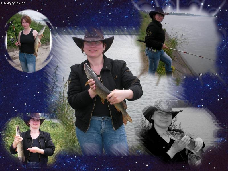 --Hecht - ������� (����������)