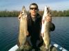 ���������!!! - ������� (����������)