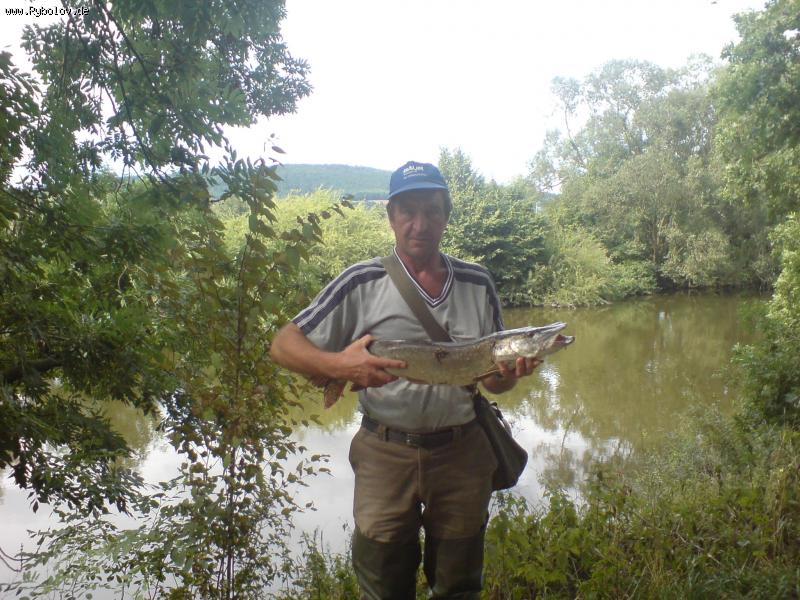 --���� ������ - ������� (����������)