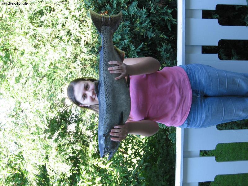 --Salmon -  ()
