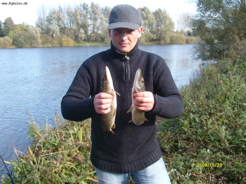 --��� ���� - ������� (����������)