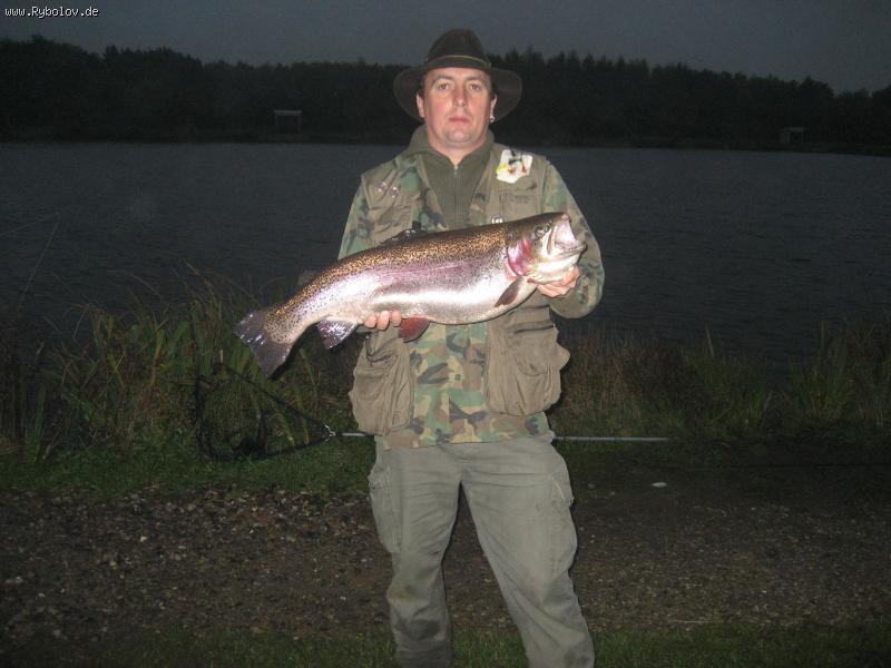 --����� ( ������ ) 1 - ������� (����������)