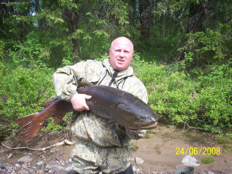 --������� � ���� - ������� (����������)