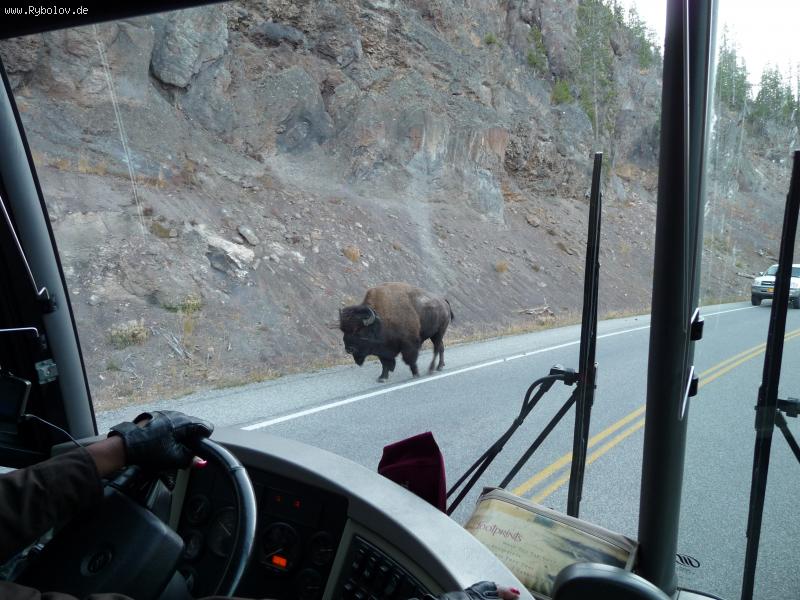 --��������� - ������� (����������)