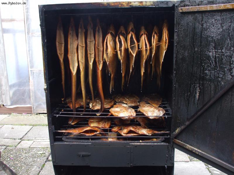 --�������� ����� - ������� (����������)