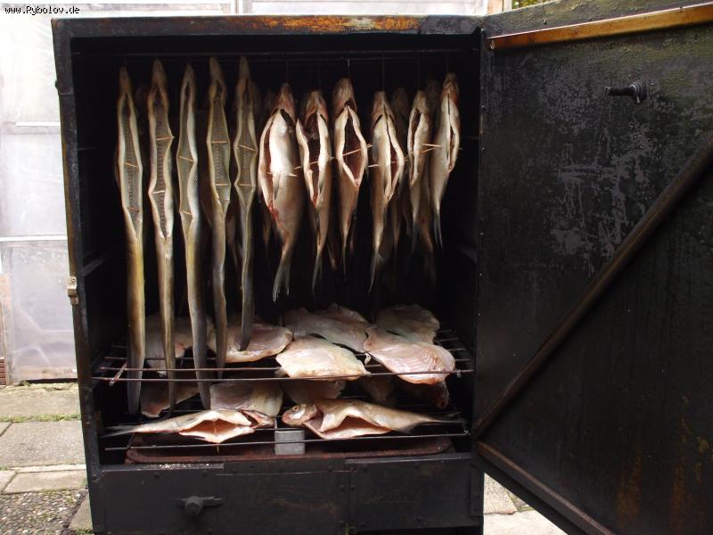 --����� ������� �����..... - ������� (����������)