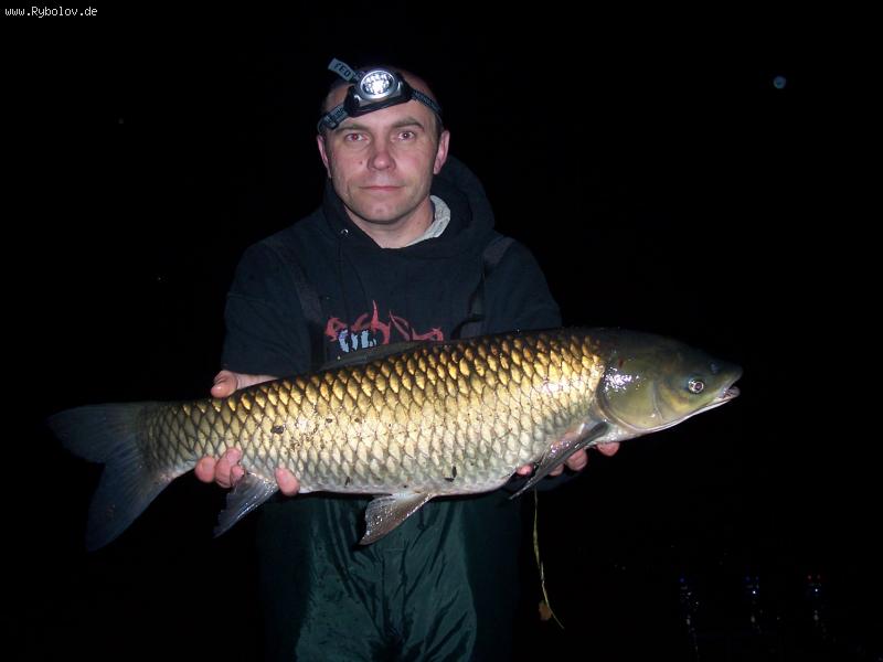 --����. - ������� (����������)