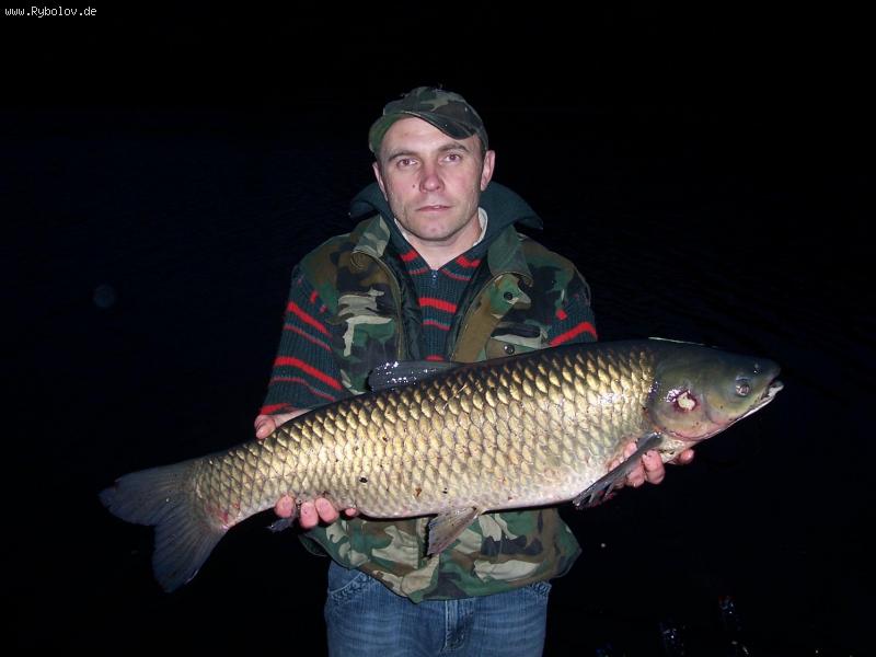 --����. - ������� (����������)