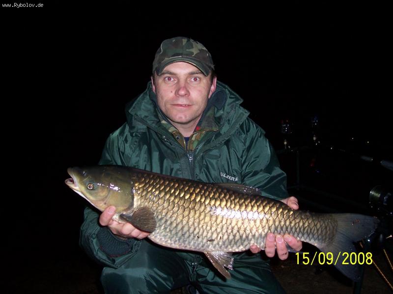 --����. - ������� (����������)