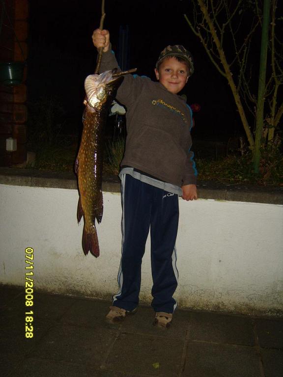 --������ ���� ����. - ������� (����������)