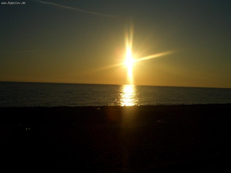 --������ � ���� (28.10. 08.) - ������� (����������)