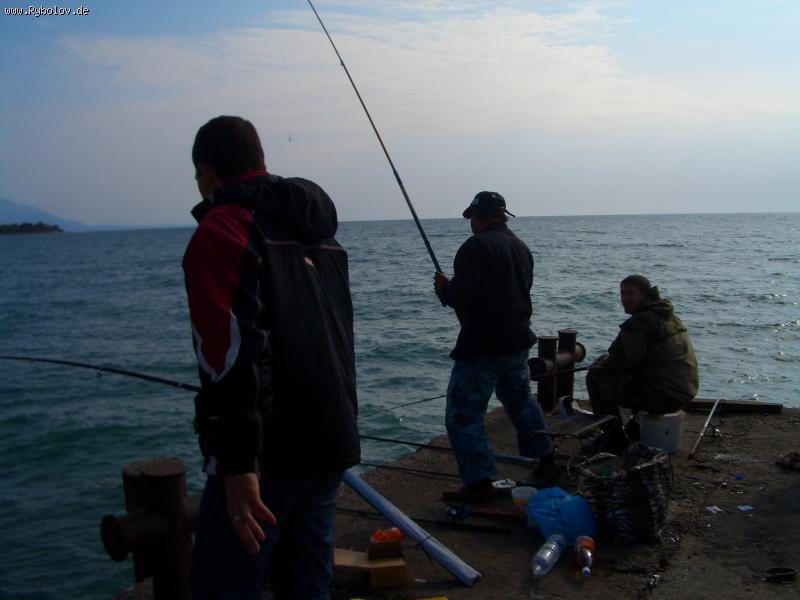 --*����� ������* - ������� (����������)