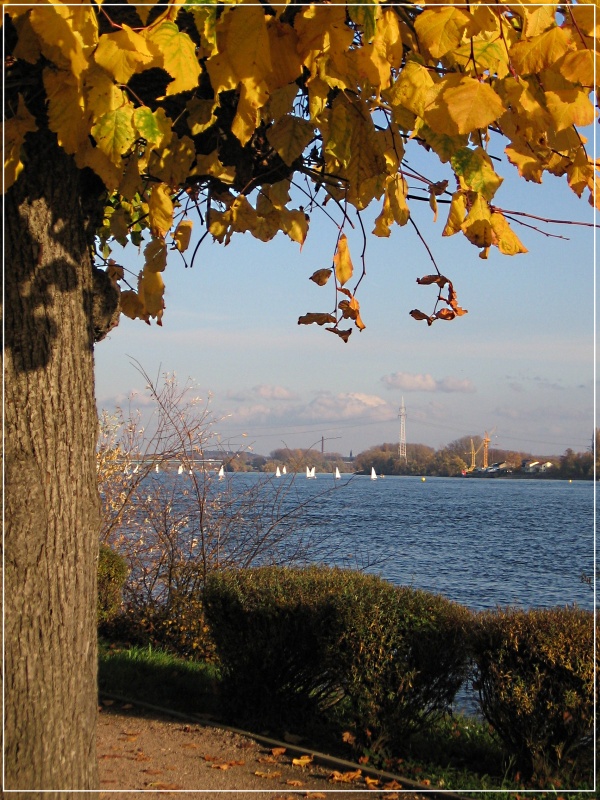 --������ �� ����. - ������� (����������)