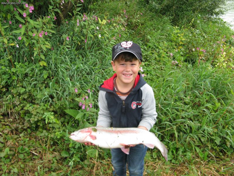 --albert - ������� (����������)