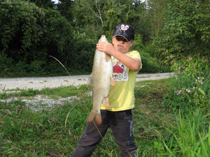 --sascha - ������� (����������)