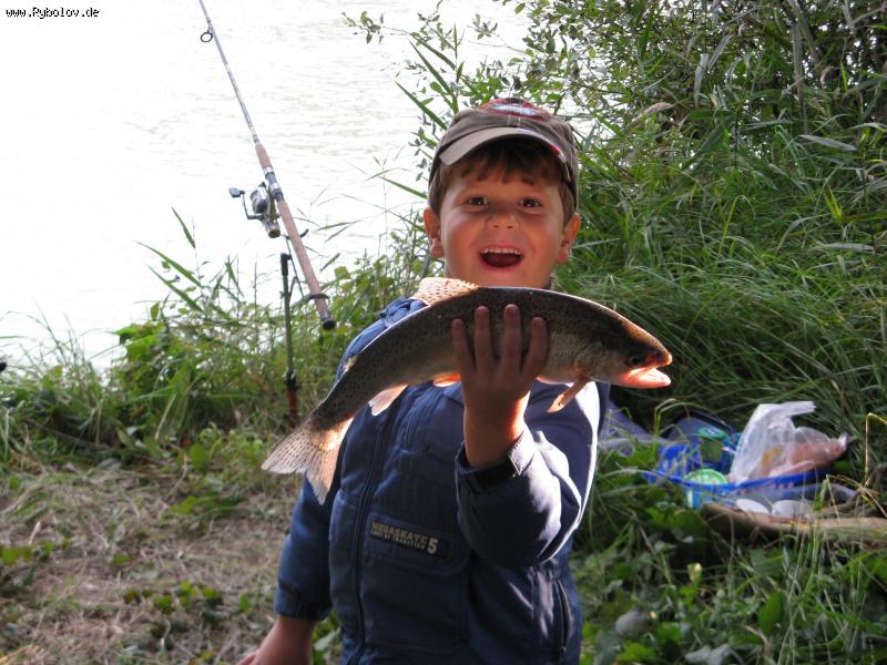 --Albert - ������� (����������)