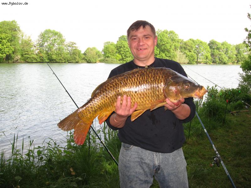 --���� - ������� (����������)