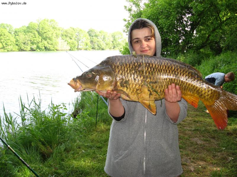 --���� - ������� (����������)