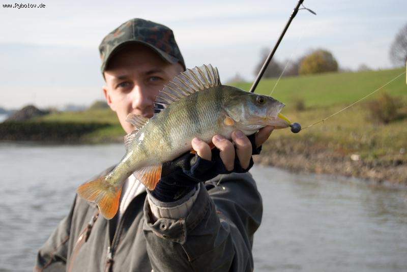 --�����. - ������� (����������)