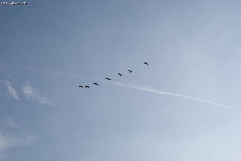 --�����. - ������� (����������)