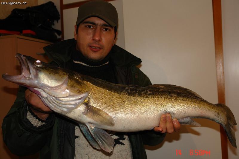 --Судачёк 88 см - 5.700 кг - рыбалка (фотоальбом)