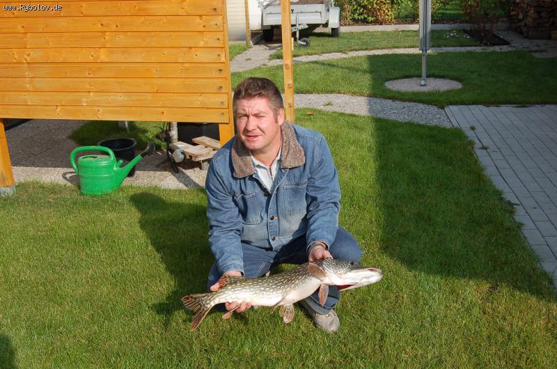 --noch ein hecht - ������� (����������)