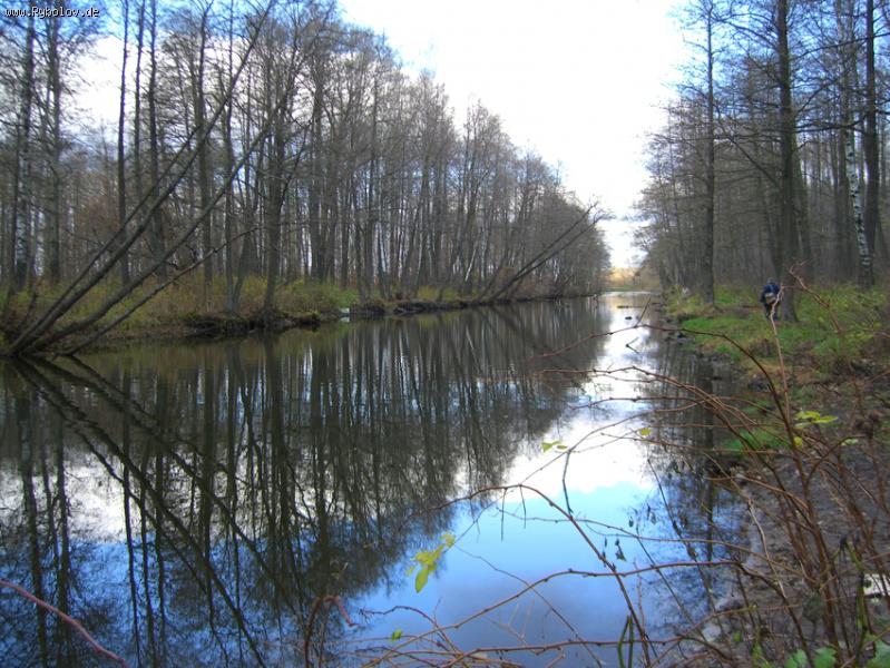 --���������� ���.�.������ ������ ����� - ������� (����������)