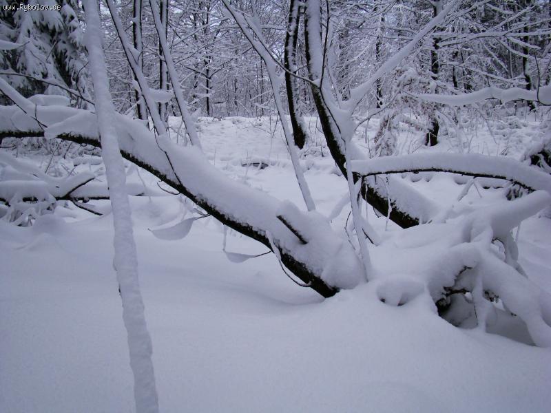 --22.11.08. �����������!!! - ������� (����������)