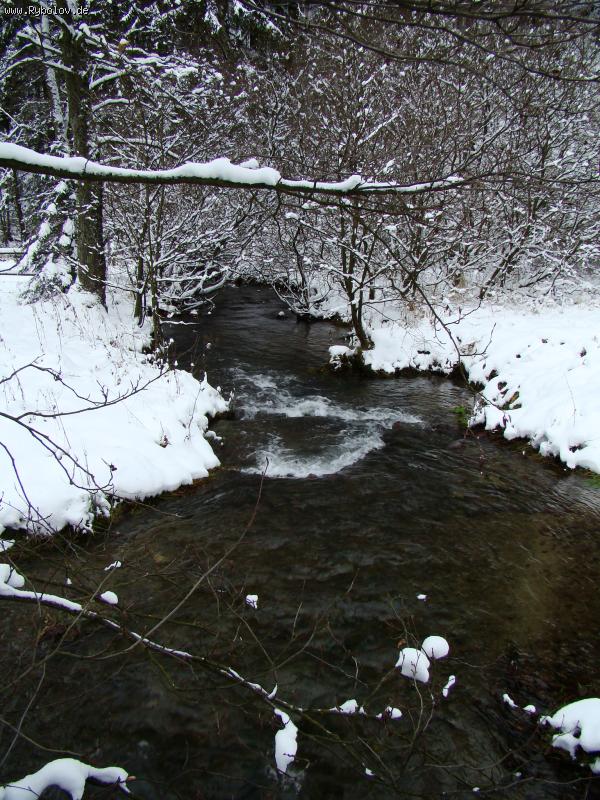 --Lahn... - рыбалка (фотоальбом)