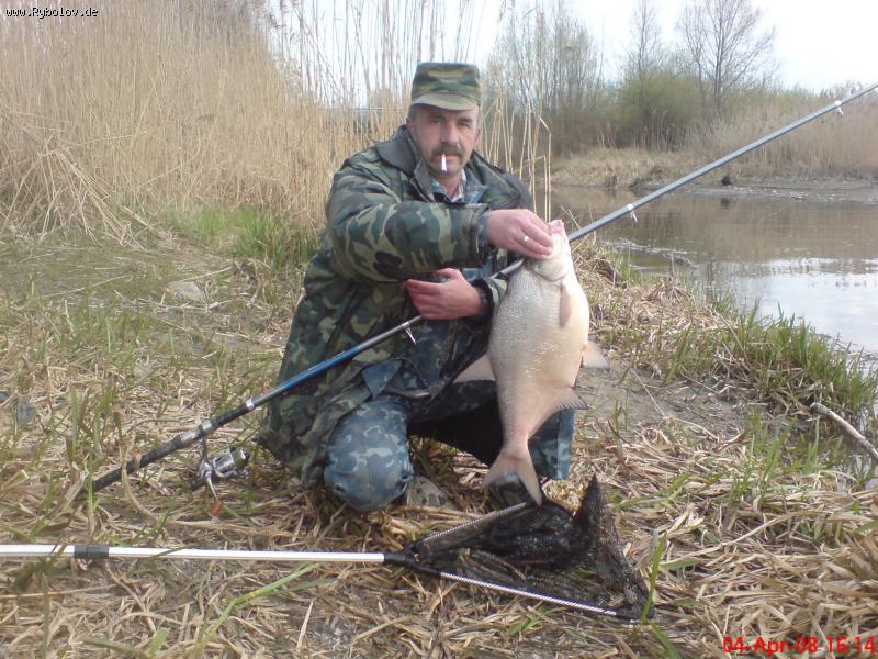 --�����! ������.... - ������� (����������)