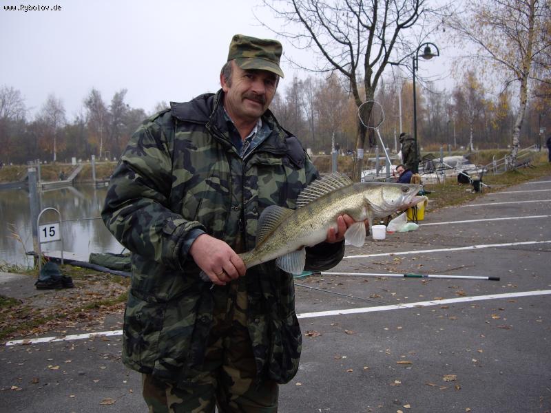 --������-�����.... - ������� (����������)