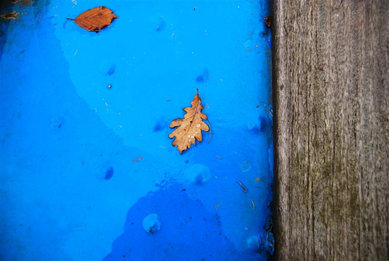 --���� - ������� (����������)